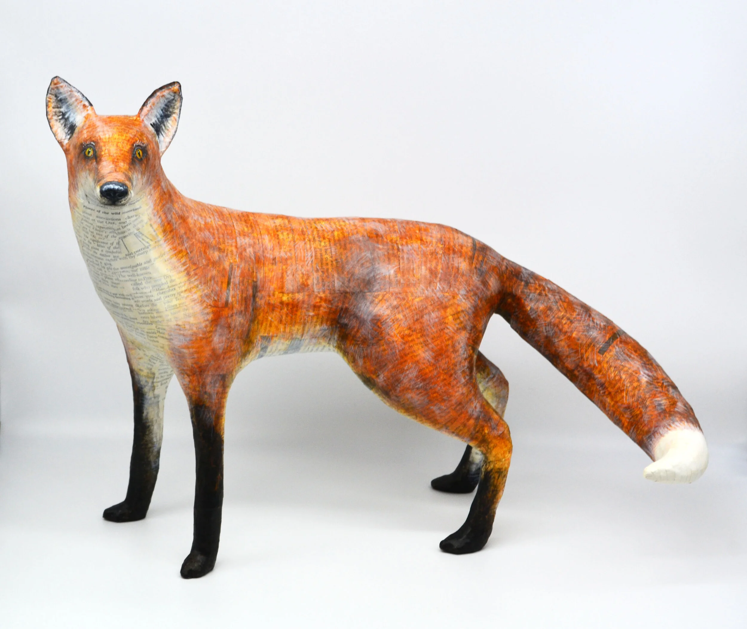 Fox — Suzanne Breakwell